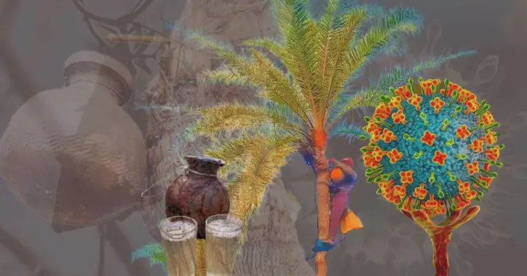 নিপাহ ভাইরাস আতঙ্ক