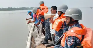 মা ইলিশ সংরক্ষণে ২২ দিনের অভিযানে নৌবাহিনী