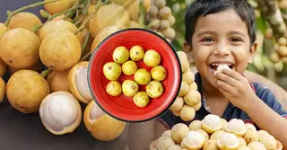 লটকনের উপকারিতা; বর্ষার এই টক-মিষ্টি ফল কেন খাবেন, জানুন পুষ্টিগুণ