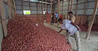 ফরিদপুরে বাড়তে শুরু করেছে পেঁয়াজের দর