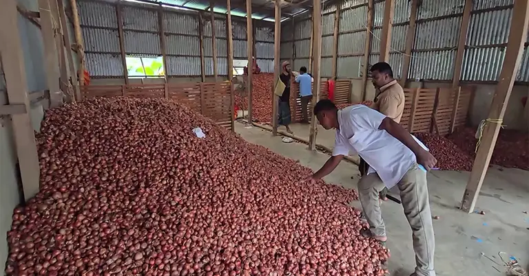 সংরক্ষণে রাখা পেঁয়াজ