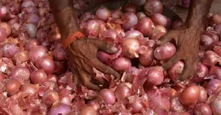 ভারতের পেঁয়াজ রপ্তানিকারকদের কীভাবে ‘কাঁদাচ্ছে’ বাংলাদেশ