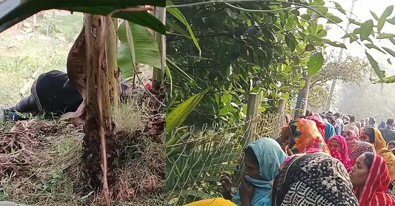 মরদেহ উদ্ধার