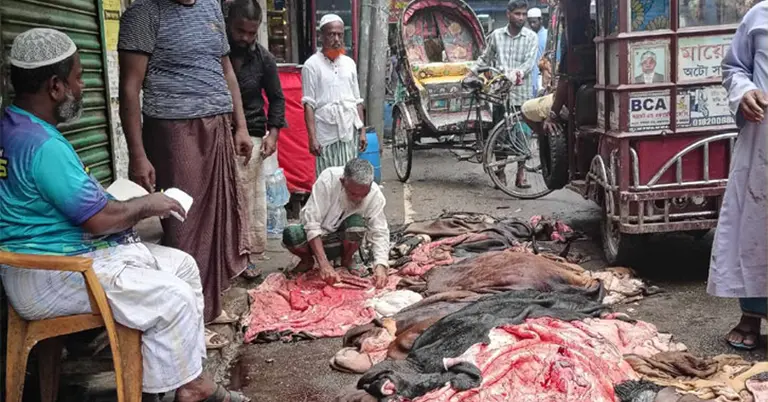 চামড়া সংগ্রহ করছেন আড়তদাররা