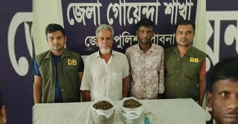 পাবনায় গাঁজাসহ দুইজন গ্রেপ্তার