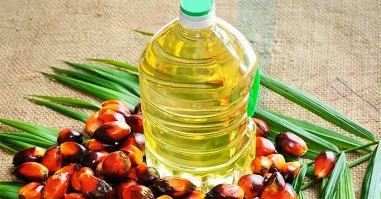 পাম অয়েলের দাম লিটারে ১৯ টাকা কমালো সরকার