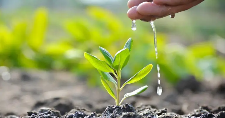 প্রতীকী ছবি