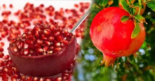 এক কাপ ডালিমের দানা খেলে শরীরে কী কী ঘটে?