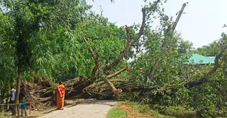 পঞ্চগড়ে ২০ মিনিটের ঝড়ে ব্যাপক ক্ষয়ক্ষতি