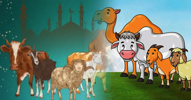 কোরবানির পশু নির্বাচন