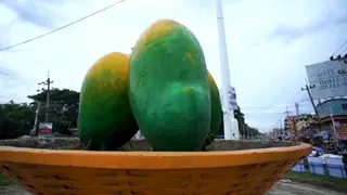 ‘রাজশাহী হতে পারে ত্রিদেশীয় বাণিজ্যিক হাব’