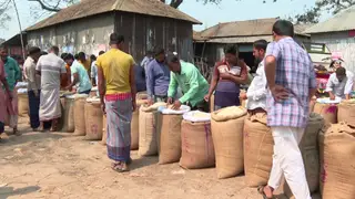 চালের বাজারে অভিযান চালিয়েও মিলছে না সুফল