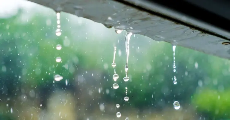 দেশের কয়েক জায়গায় বৃষ্টির সম্ভাবনা