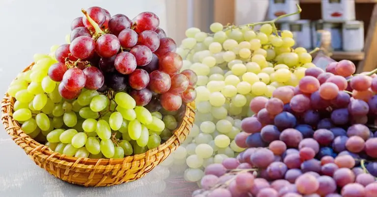 লাল বনাম সবুজ আঙুর