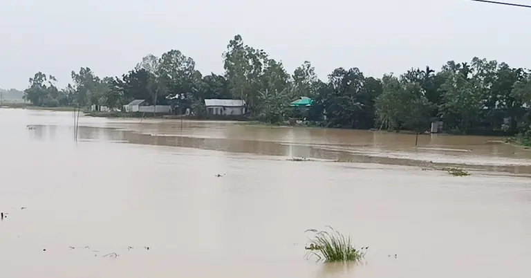 শেরপুরে বাড়ছে নদীর পানি