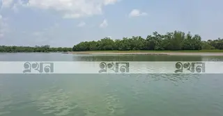সুন্দরবনে মধু সংগ্রহ করতে গিয়ে বাঘের আক্রমণে মৌয়াল আহত