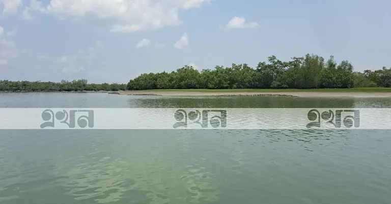 সুন্দরবন
