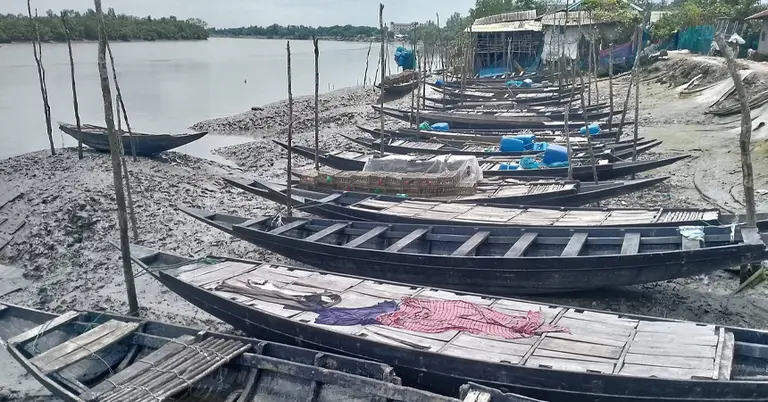 সুন্দরবন