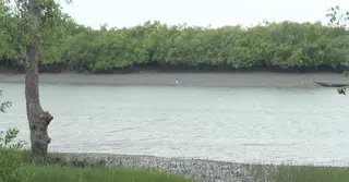 তিন মাসের জন্য সুন্দরবনে প্রবেশে নিষেধাজ্ঞা: কর্মহীন হাজারো মানুষ
