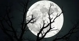 উৎসাহ-আনন্দে বছরের শেষ সুপারমুন উপভোগ করলো বিশ্ব