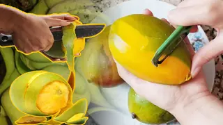 আমের খোসা কি খাওয়া উচিত? পুষ্টি না কি বিষ, যা বলছেন বিশেষজ্ঞরা