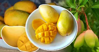 বিশ্বের সবচেয়ে মিষ্টি আম কোনটি? গিনেস রেকর্ডে নাম লেখালো যে জাত