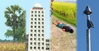 বজ্রপাতে বাড়ছে মৃত্যু, সমাধানে করণীয় কী?