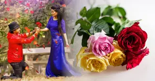 রোজ ডে: রঙের ভিন্নতায় গোলাপের ভাষা, জেনে নিন আপনার প্রিয়জনের জন্য কোনটি সেরা