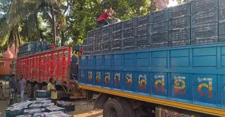 তিন বছর পর সোনামসজিদ স্থলবন্দর দিয়ে এলো ৬০ টন টমেটো