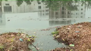 কোনভাবেই মশার উপদ্রব থেকে মুক্তি মিলছে না