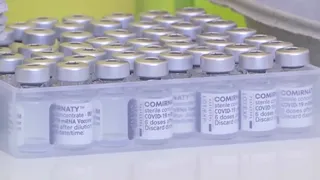 ২১ কোটির বেশি করোনা টিকা ফেলে দেয়া হয়েছে