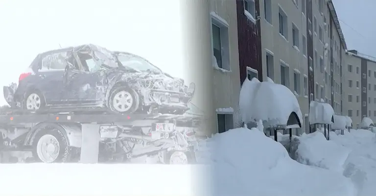 তুষারপত