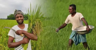 কৃষিতে বৈপ্লবিক পরিবর্তন; ন্যানো ফার্টিলাইজার কী, ব্যবহার হয় কীভাবে?