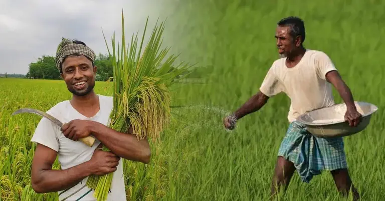 ন্যানো ফার্টিলাইজার কী