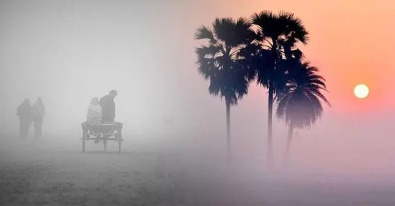 কুয়াশা সৃষ্টির কারণ ও প্রতিকার