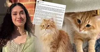 ঢাকায় ‘জেবু’, মানুষের কৌতূহলে অবাক জাইমা রহমান