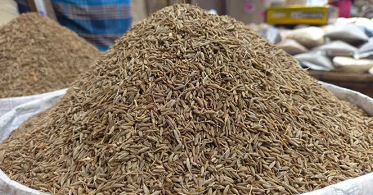 জিরা (প্রতীকী)