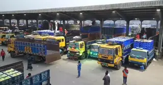 বেনাপোল বন্দরে ঢুকলো কাঁচামরিচের প্রথম চালান