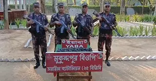 ব্রাহ্মণবাড়িয়ায় বিজিবির অভিযানে ২০ হাজার পিস ইয়াবা জব্দ