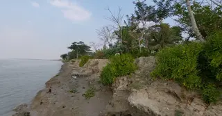 বিষখালী নদীর ভাঙনে ভিটেমাটি হারিয়ে নিঃস্ব হচ্ছেন শত শত পরিবার