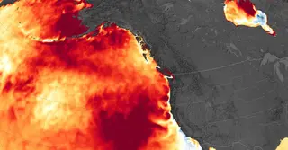 প্রশান্ত মহাসাগরে আবারও ফিরে এসেছে ‘ব্লব’; শঙ্কায় বিজ্ঞানীরা