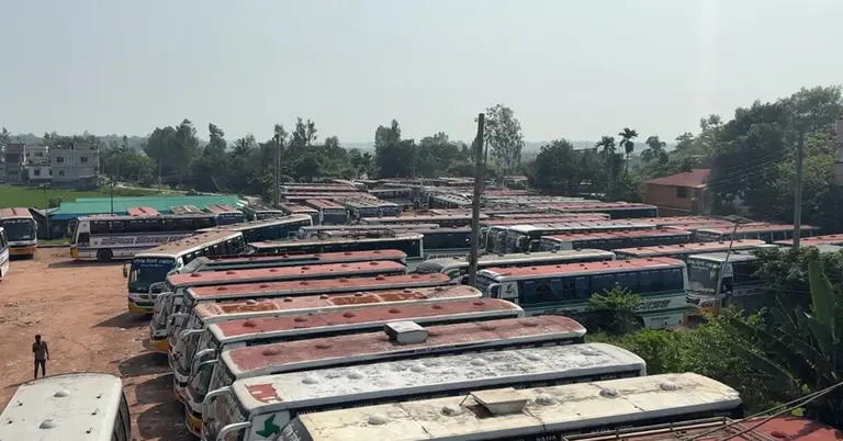 বাস