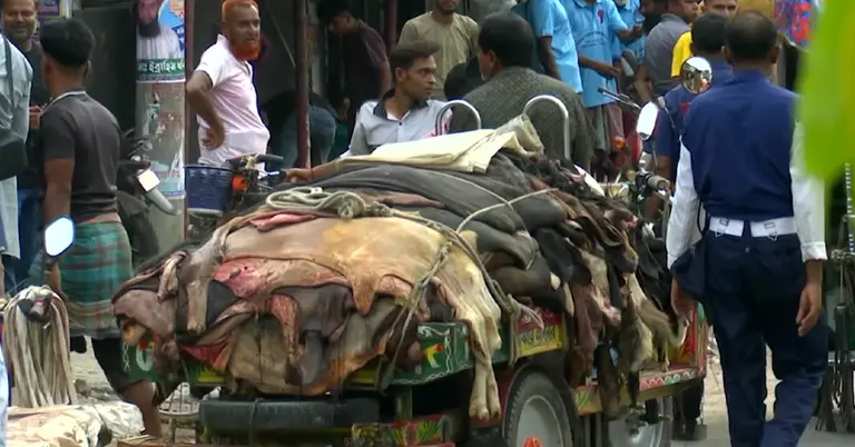 নাটোরে চামড়া বেচাকেনা চলছে