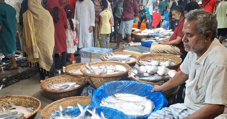 চাঁদপুরে মাছের আড়ত