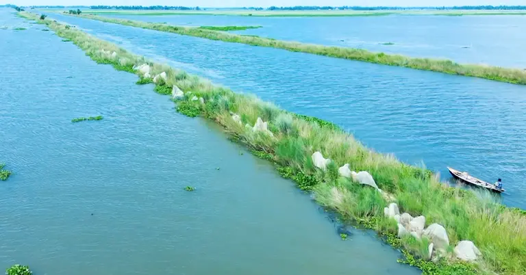 চলনবিল