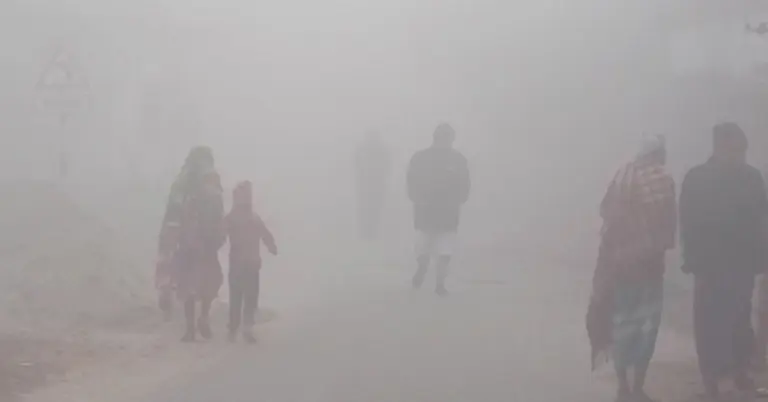 কুয়াশাচ্ছন্ন শীতের সকাল