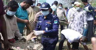 ডেঙ্গু প্রতিরোধে চুয়াডাঙ্গায় পরিষ্কার-পরিচ্ছন্নতা অভিযান