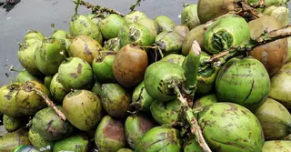 যে ৫ কারণে নিয়মিত ডাবের পানি খাওয়া উপকারী