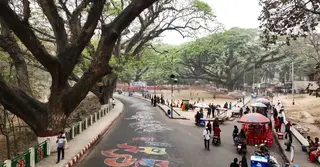 শতবর্ষী গাছ না কি হাসপাতাল? উন্নয়নের দ্বন্দ্বে বন্দর নগরী