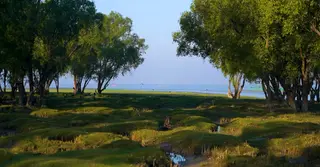 নৈসর্গিক চট্টগ্রাম: অপরিকল্পনা-আমলাতন্ত্রে লোকসানে বিপুল আয়ের টেকসই পর্যটন